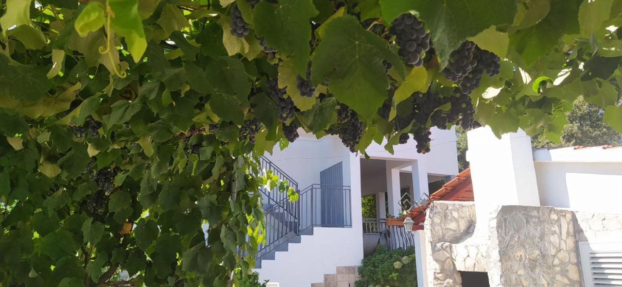 Apartment Lavanda Nova Ražanj 외부 사진