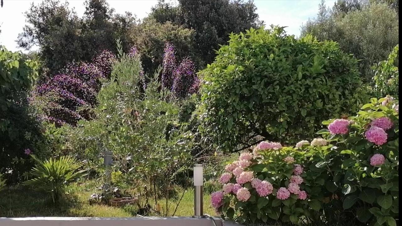 Apartment Lavanda Nova Ražanj 외부 사진