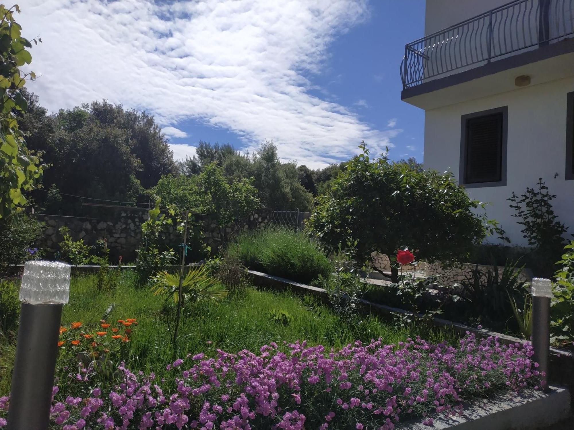 Apartment Lavanda Nova Ražanj 외부 사진