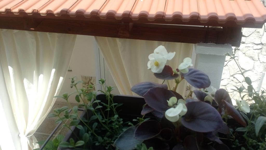 Apartment Lavanda Nova Ražanj 외부 사진