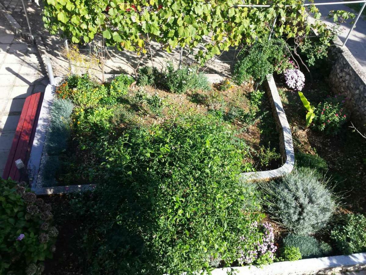 Apartment Lavanda Nova Ražanj 외부 사진